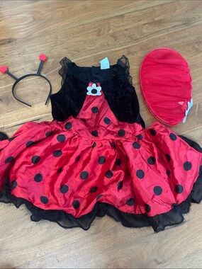 Kids Ladybug Costume Dress with Headband and Wings - Red & Black